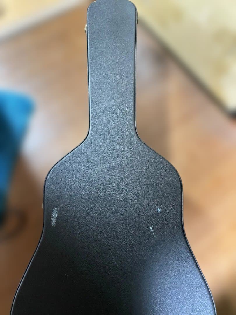 Martin & Co. D-16GT アコースティックギター