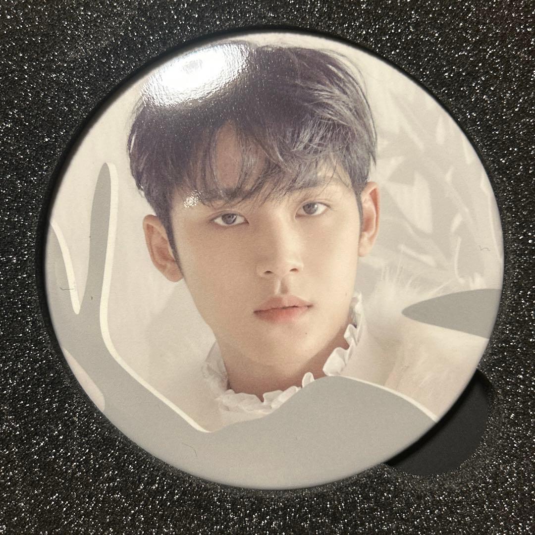 SEVENTEEN POWER OF LOVE ミンギュ　あいのちから　缶バッジ