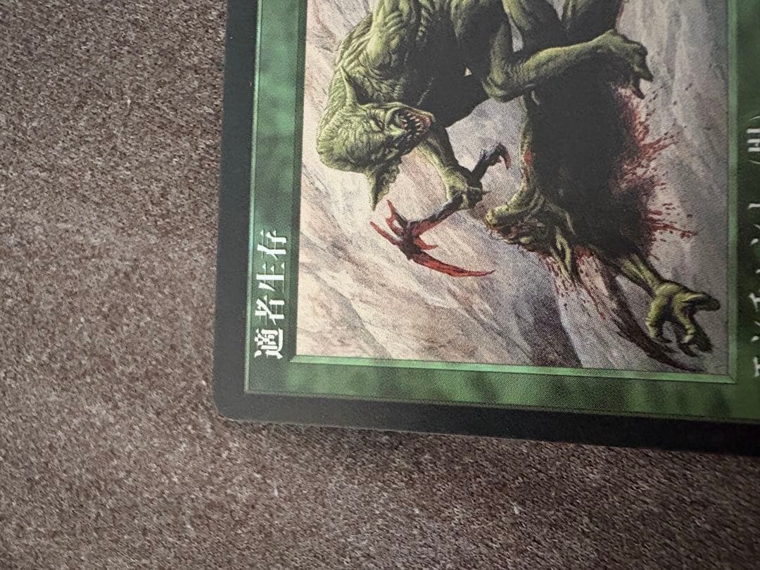 ア*生様 300円スタート　マジック・ザ・ギャザリング　適者生存　他8枚　まとめ