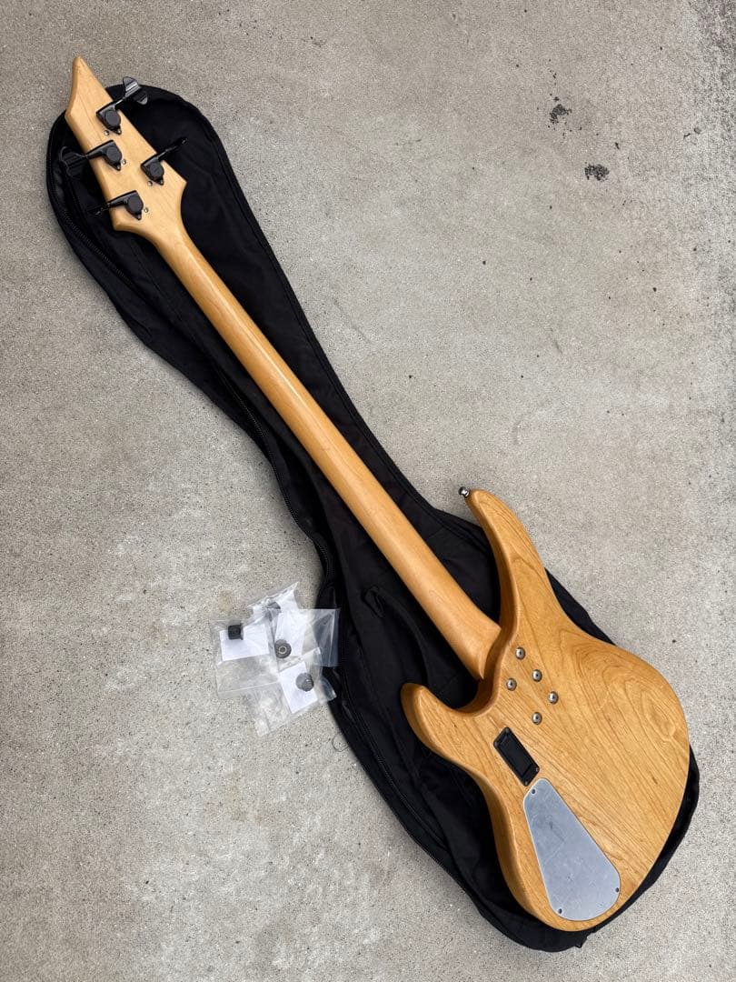 SELVA Ignite Bass ／ セルバ・イグナイト・ベース