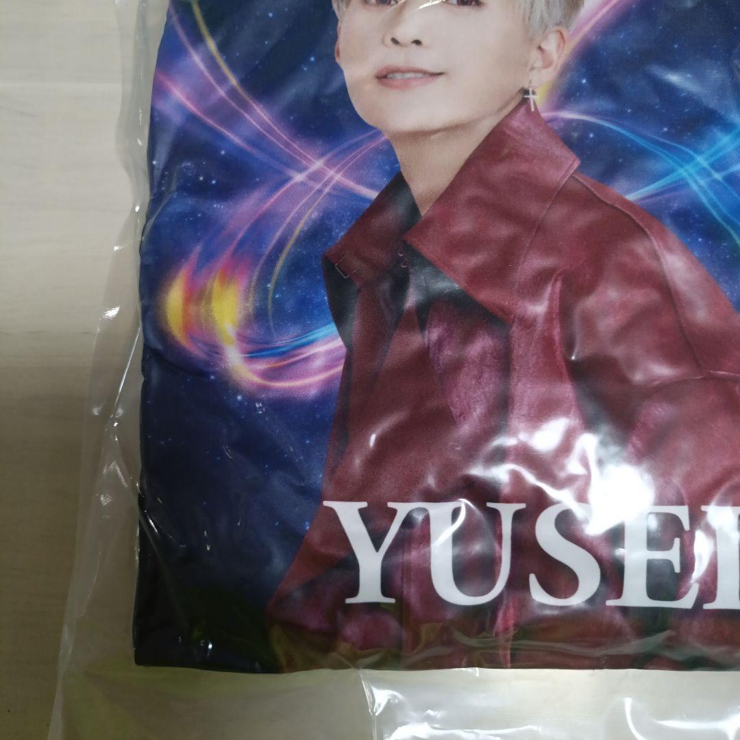 八木勇征BUTTERFLY EFFECT クッション　FANTASTICS最安値