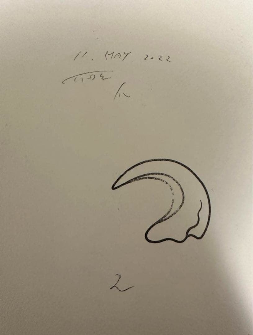 【真作】TIDE 水彩画作品 爪 (crew) 原画 イデタツヒロ