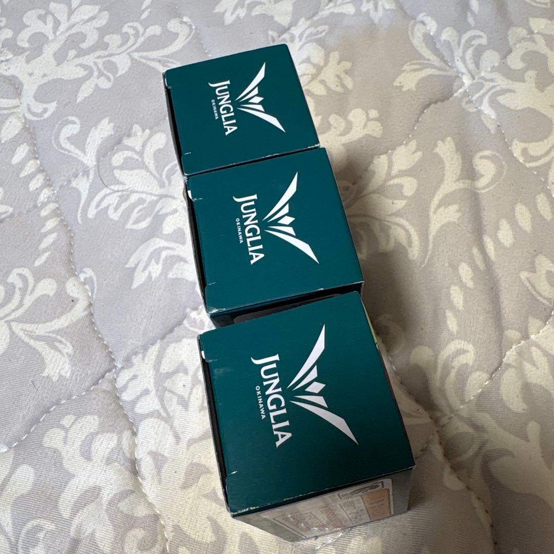 沖縄　ジャングリア　現地　限定　トミカ　いすゞ　ギガ　3個