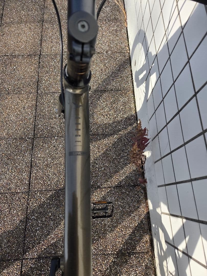 mariachi  TERN SURGE UNO ブラス50 ブルホーン