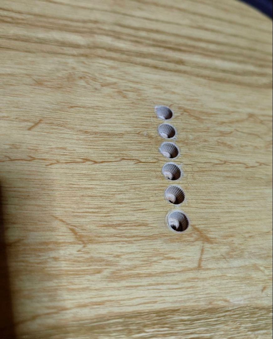 テレキャスター カスタム ボディ