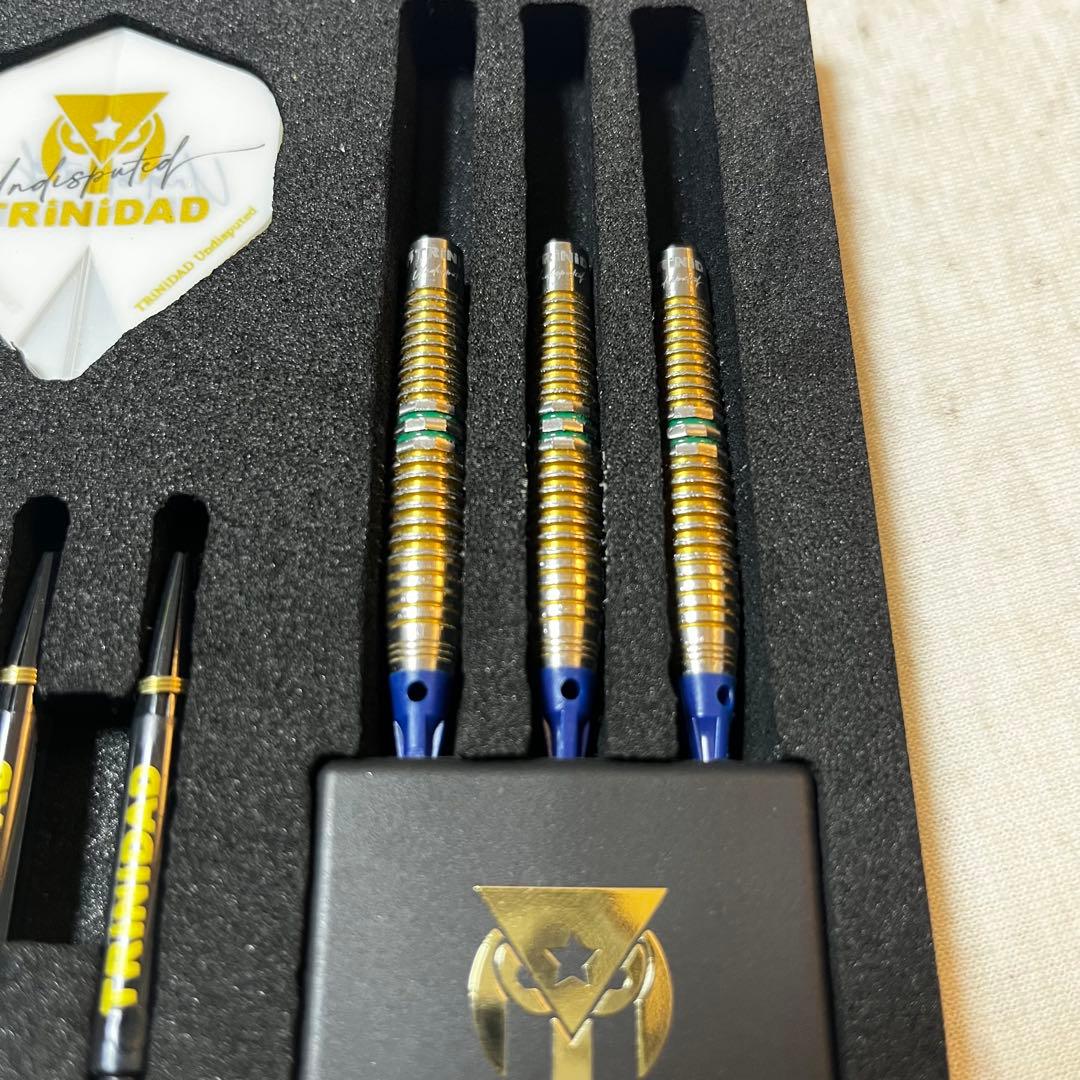 リカルド タイプ3 浅田 斉吾 トリニダード ダーツ