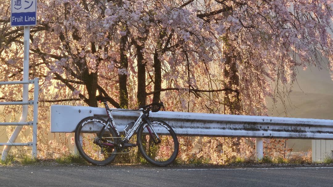 メリダリアクト Team e 2017 新城幸也サイン入り 訳あり