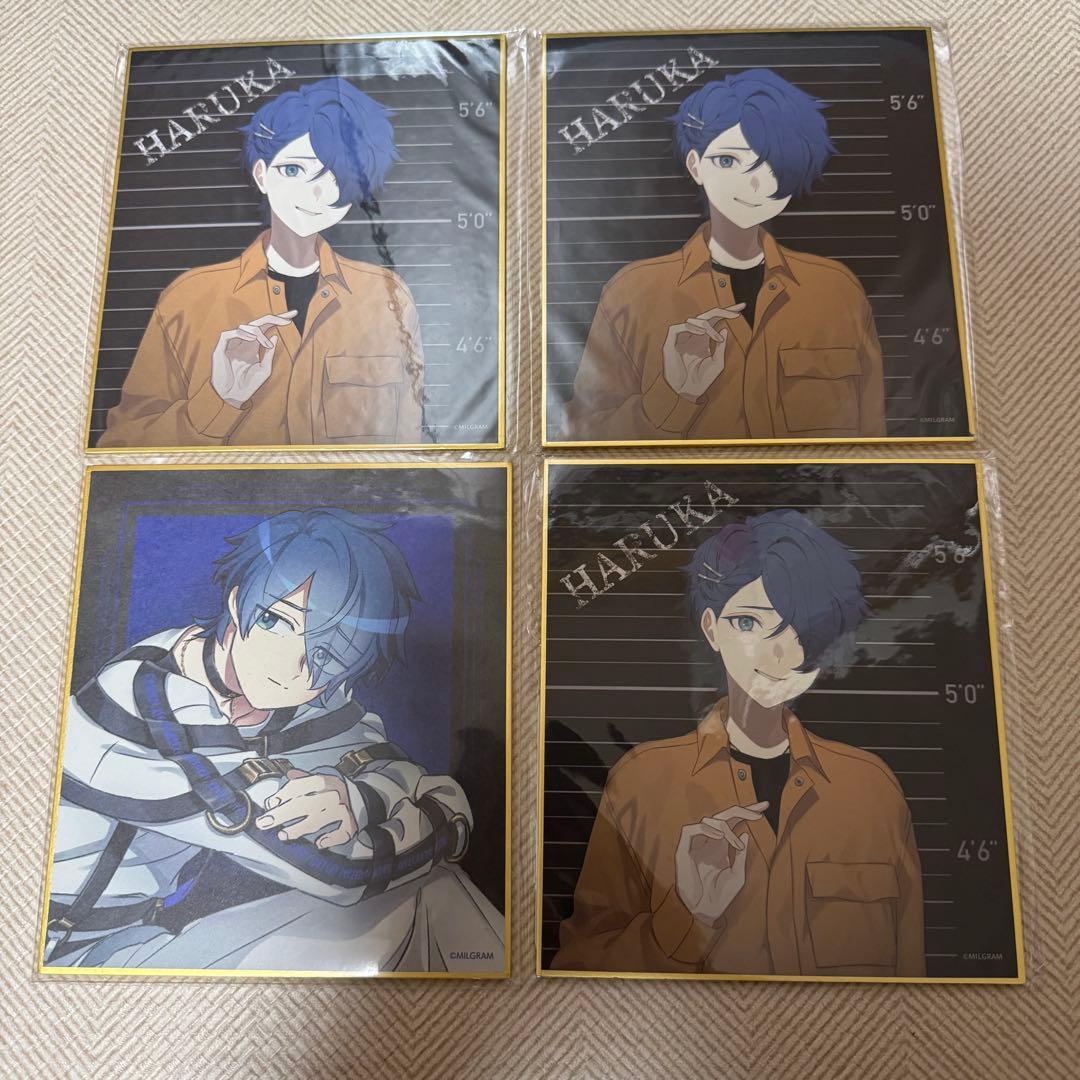 ミルグラム MILGRAM 第一審 くじ引き堂 ミニ色紙 ハルカ