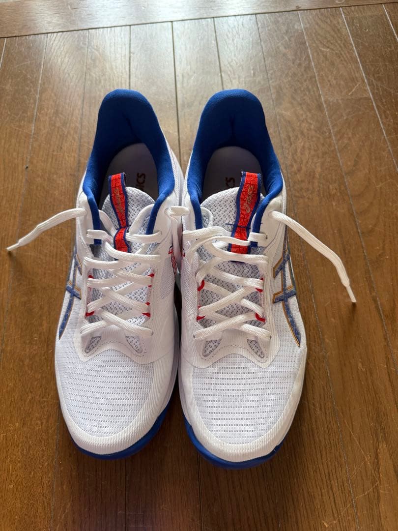 NETBURNER BALLISTIC FF 4 サイズ28.5センチ