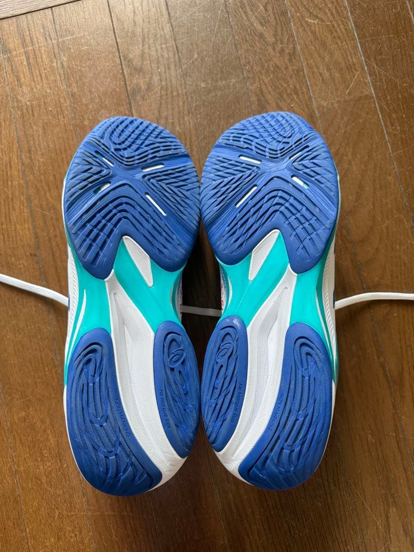 NETBURNER BALLISTIC FF 4 サイズ28.5センチ