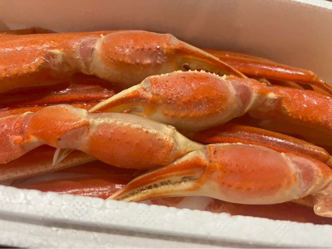 激選仕入れ！ボイル済み本ズワイガニ脚 冷凍4kg｜身入りたっぷり