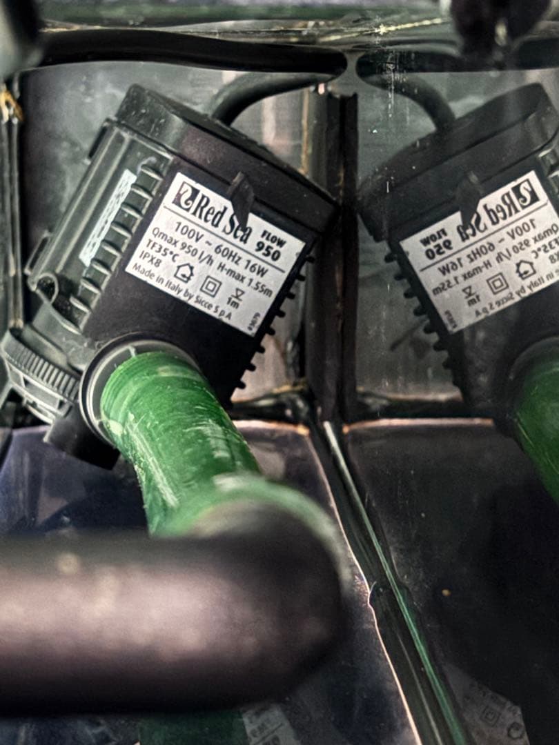 Red Sea ガラス　水槽　max nano