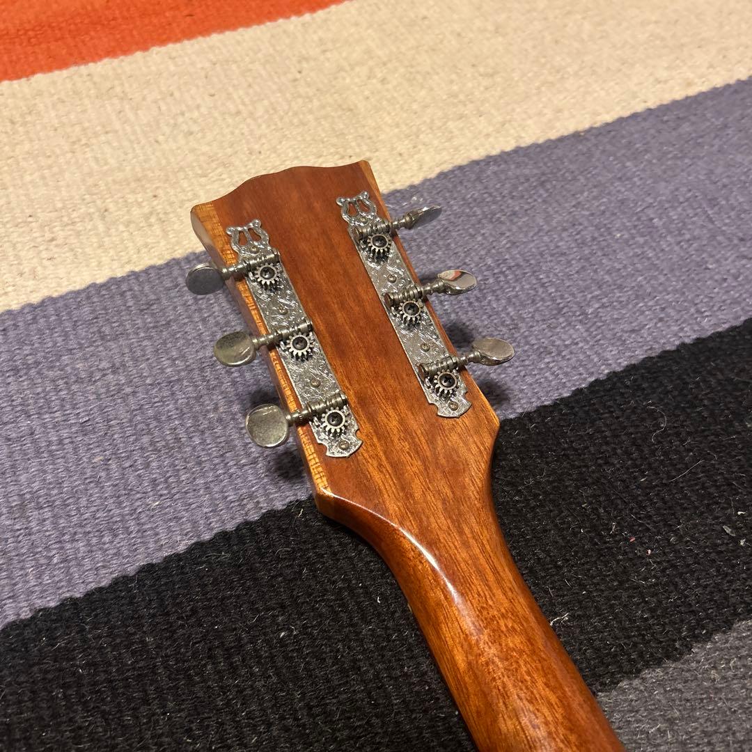 Gibbon ギブソンSGタイプ　ジャパニーズビンテージ　ビザールギター