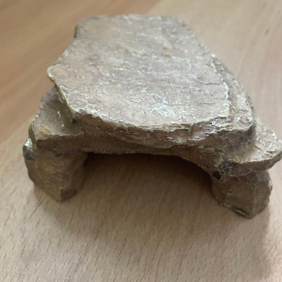 爬虫類飼育セット 中型