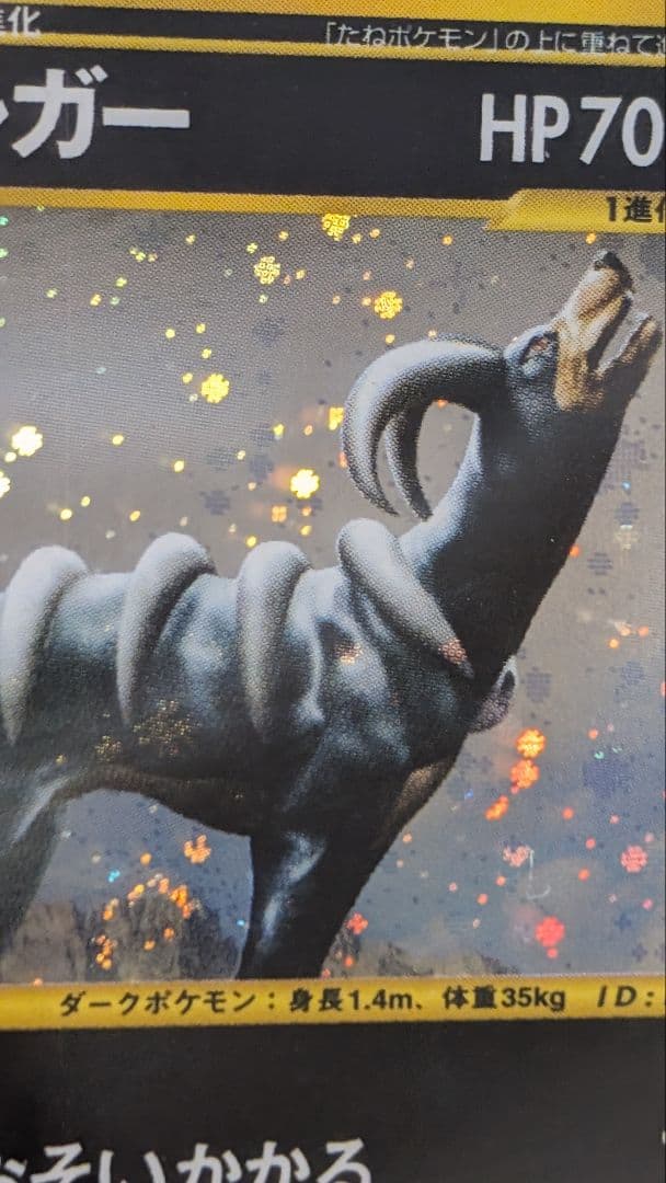 PSA10 ヘルガー eカード 神秘なる山 HOUNDOOM holo 1st