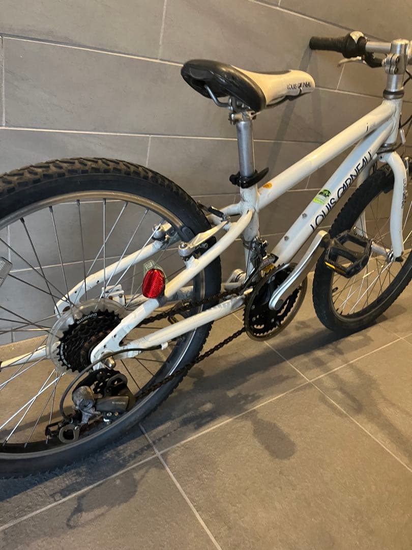 【東京近郊受渡希望】ルイガノ LGS-J22 軽量アルミ 18速 子供用自転車