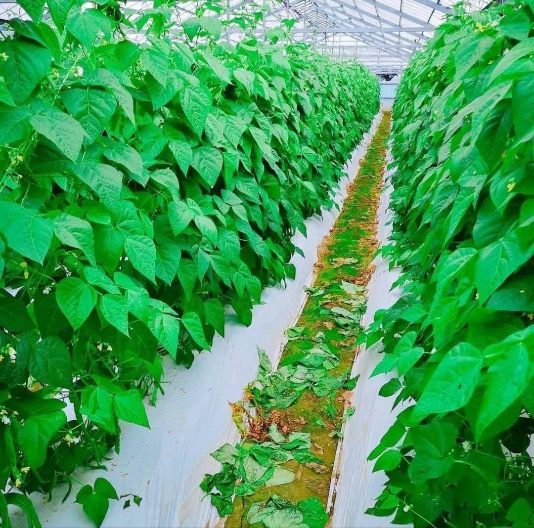 ルコラルステーション