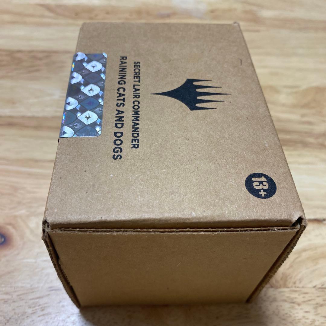 MTG Raining Cats and Dogs 1個