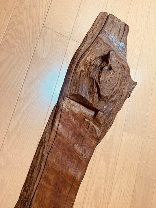 装飾用最高級流木★マングローブ系プレミアム