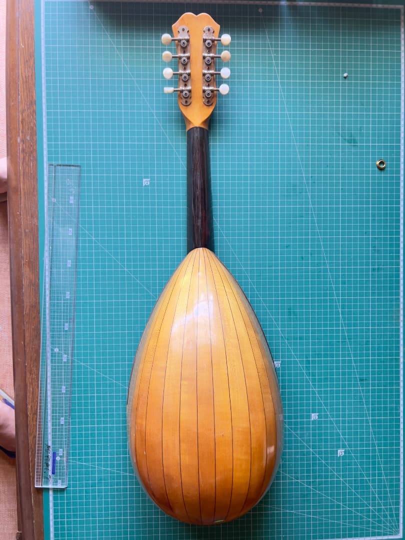 スズキ SUZUKI マンドラ