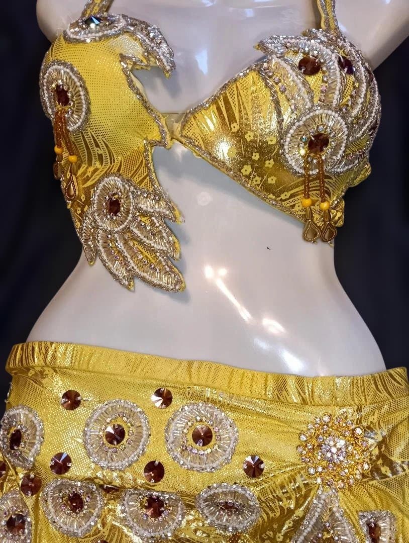 【新品Sale】人気デザイナーズベリーダンス衣装《鳥》