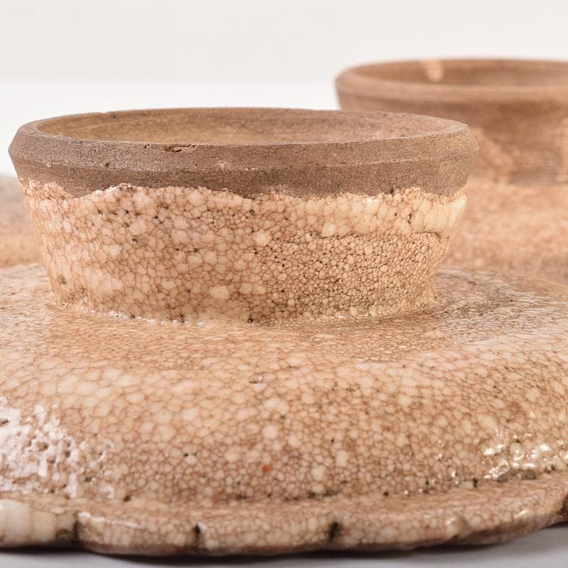 和食器　志野焼　絵志野　松文　雪輪形　菓子皿　五客　在銘　共箱　D　R7842