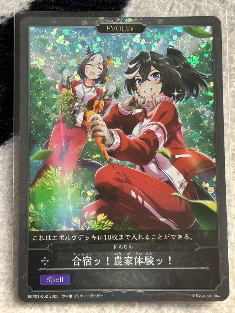 ＥＸコラボパック[ウマ娘プリティーダービー]