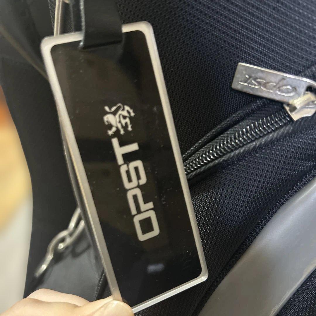 RAY FLOYDアイアン11本OPSTゴルフバッグセット