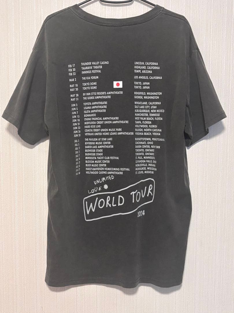2024 レッドホットチリペッパーズ ワールドツアー Tシャツ 東京 限定