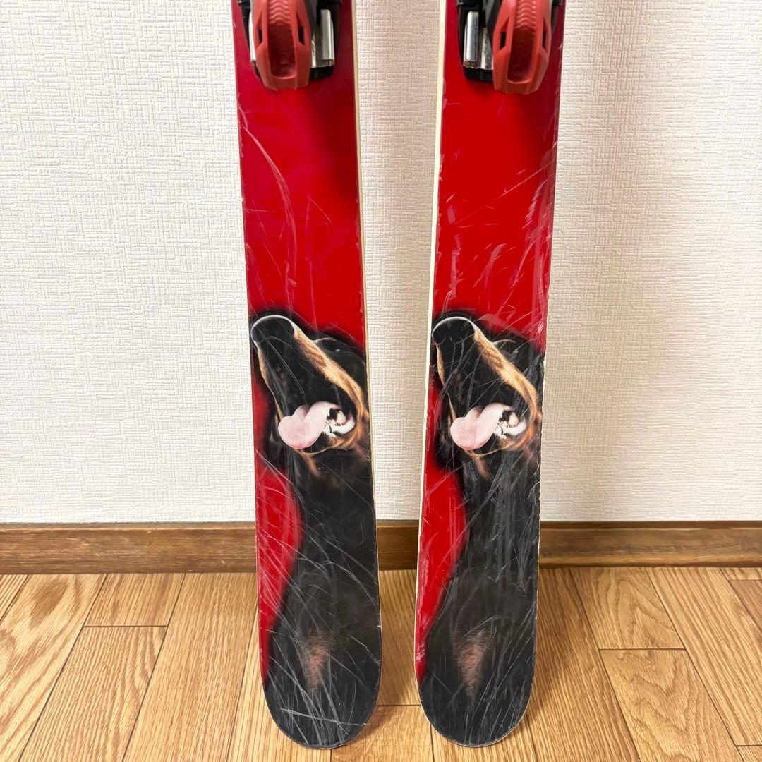 RelSM DOG 166cm リズム