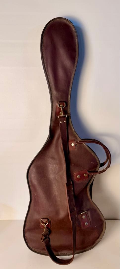 Passion エレキギター ヴィンテージ サンバーストカラー