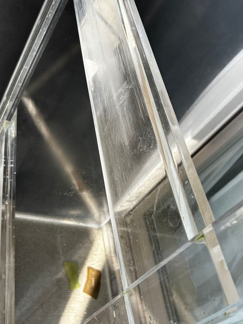 ★たーさん専用★引取限定（埼玉県川口市）アクリル水槽　150cm 上部フィルター