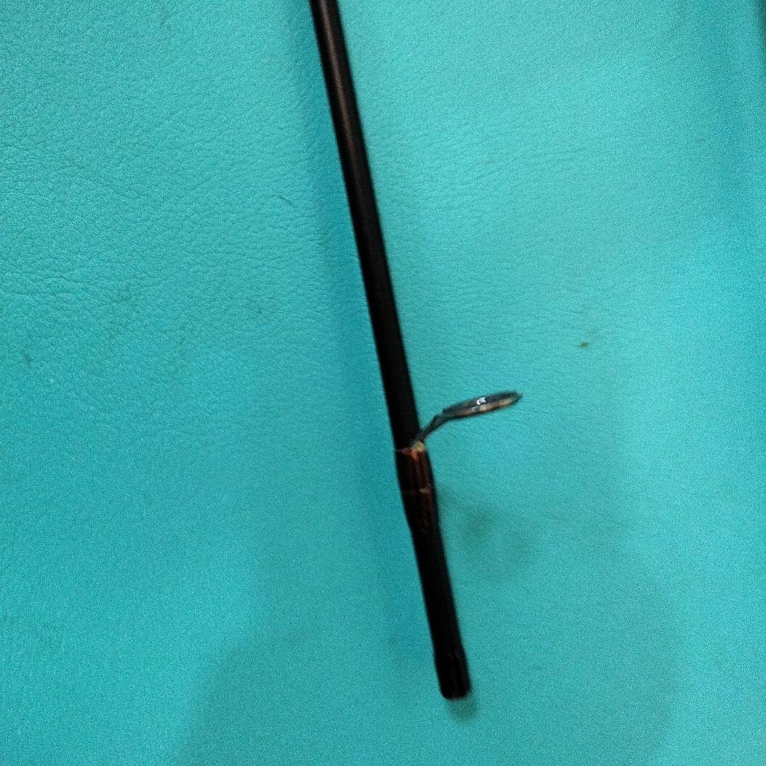 ラッキークラフトESGシーバスロッド7.7