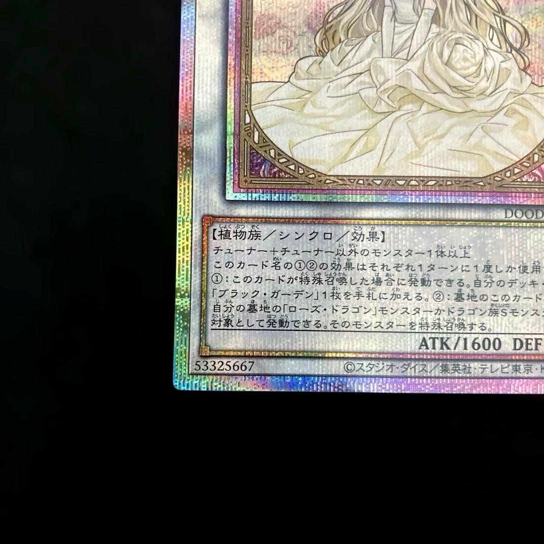 匿名配送　遊戯王　ガーデン・ローズ・メイデン　プリズマ　プリシク　絵違い　1枚