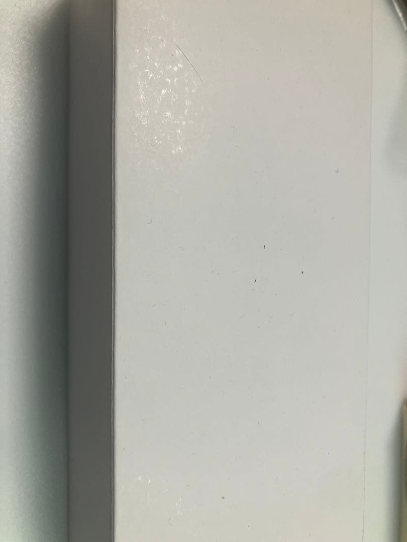 Pelikan　ペリカン　M800　バーントオレンジ　F-nib