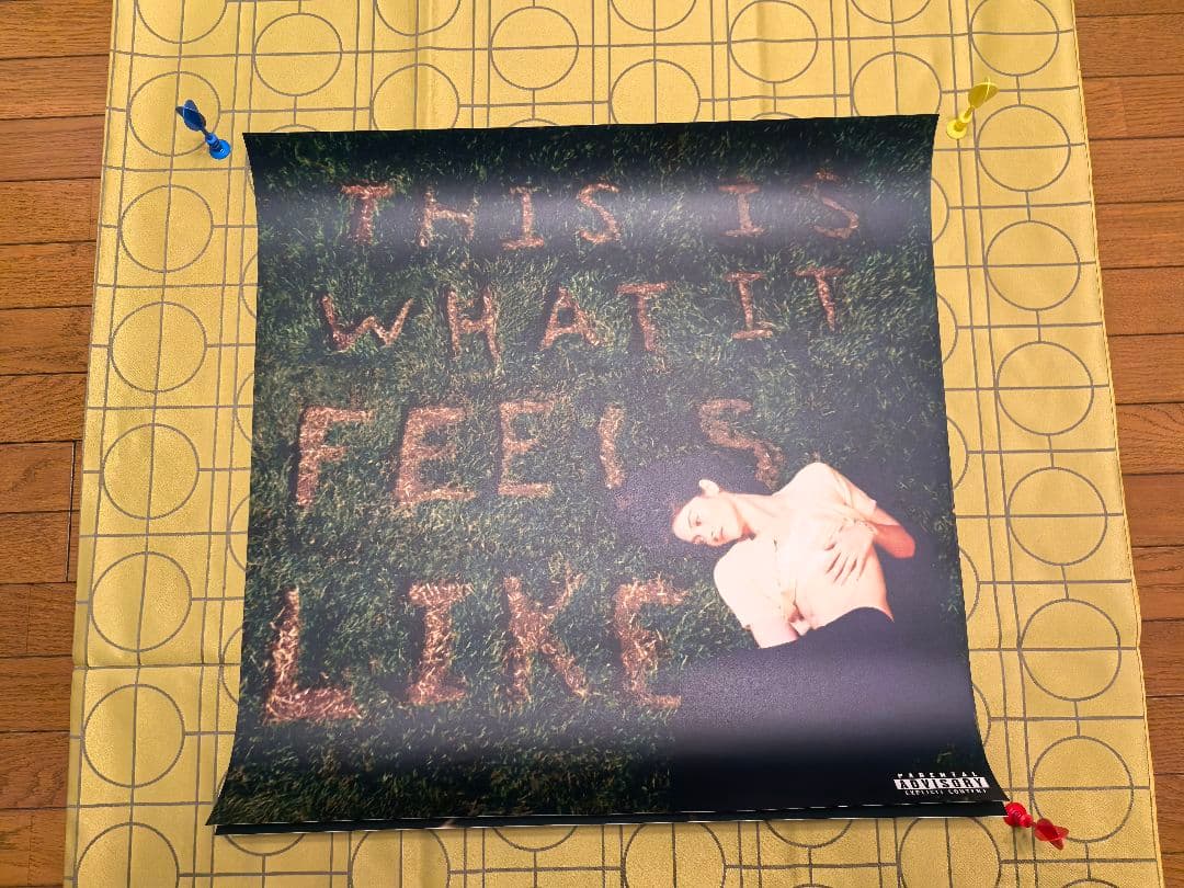 グレイシーエイブラムス-ThisIs WhatItFeelsLike特注ポスター