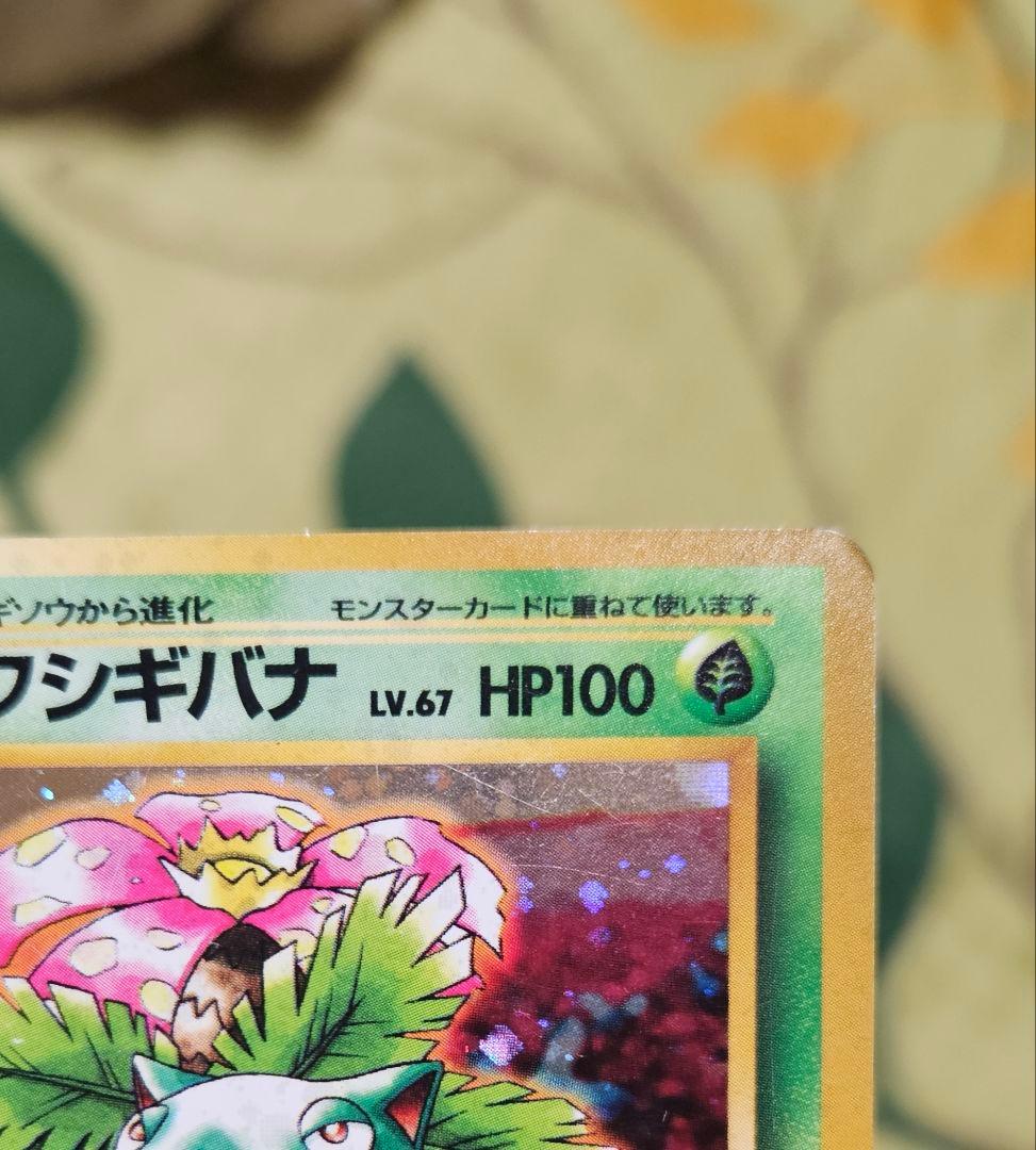 旧裏★フシギバナ ポケモンカードイントロパック キラ