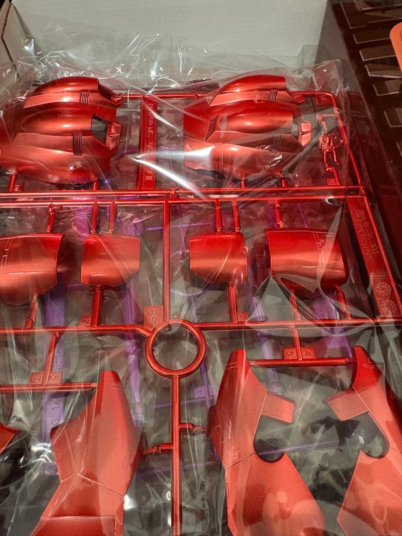 ガンプラEXPO限定 PG 1/60 シャア専用ザク フルカラーコーティング