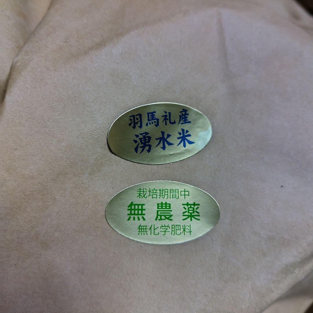 限定 標高600m一番湧水で育った農薬不使用 玄米2025年大分県産直送30kg