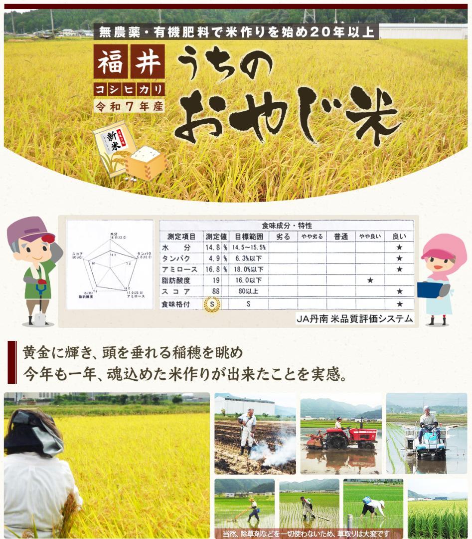 無農薬有機米コシヒカリ玄米１０kg（福井７年産新米）食味ランク最高 S・精米無料