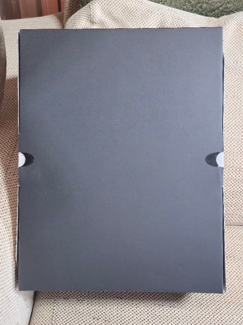 彼女(ヒロイン)は友達ですか？ 恋人ですか？ それともトメフレですか？ 雛守桜子