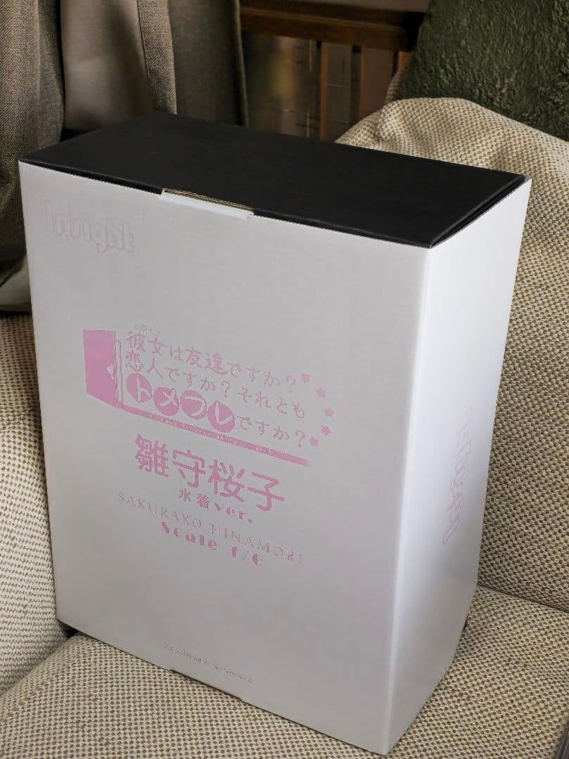 彼女(ヒロイン)は友達ですか？ 恋人ですか？ それともトメフレですか？ 雛守桜子