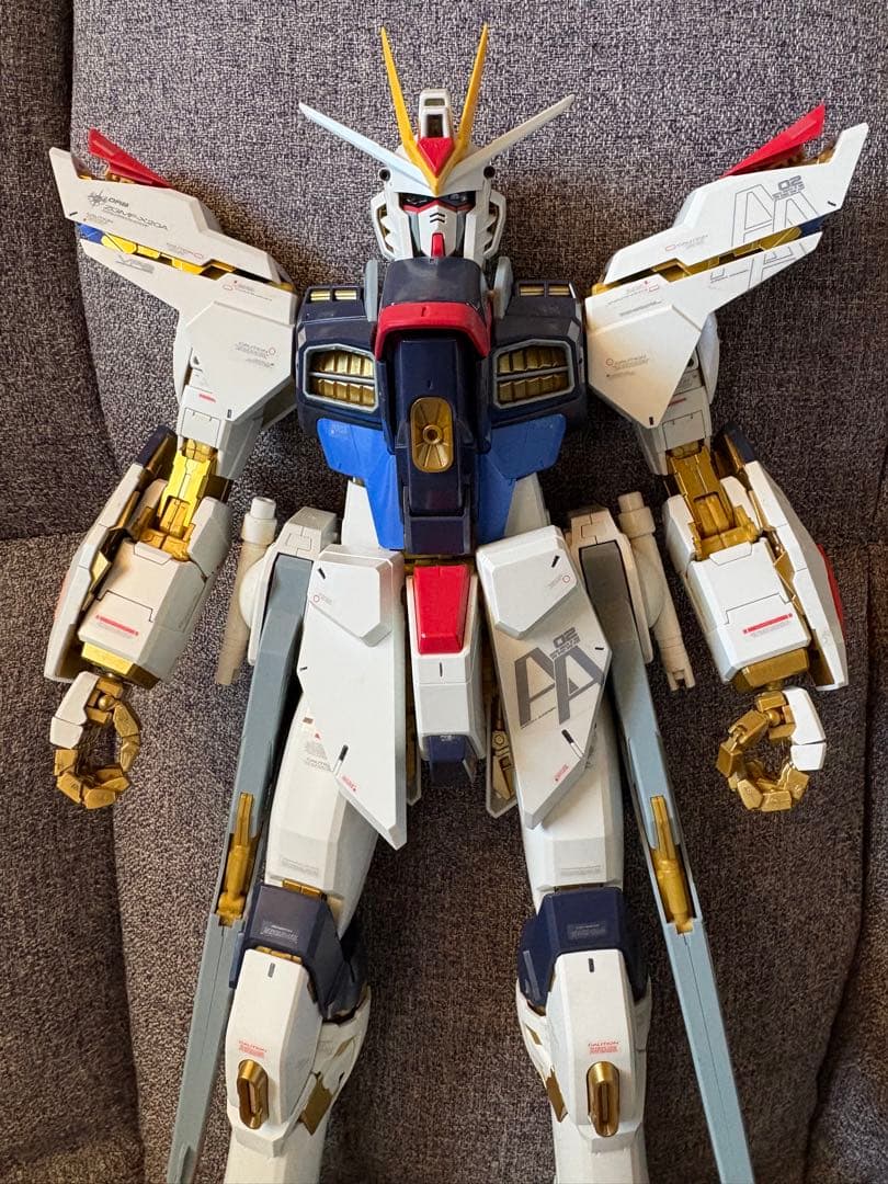 PG ストライクフリーダムガンダム　ジャンク品
