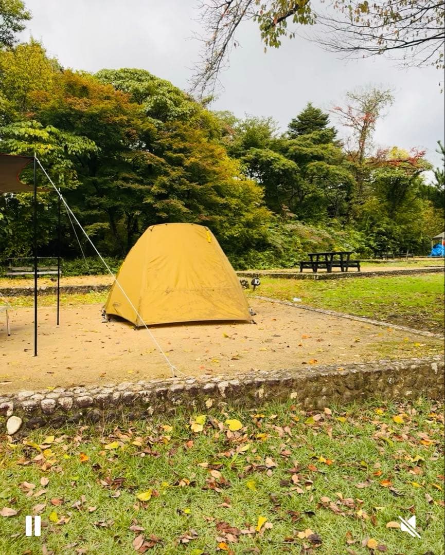 Coleman コンパクトドーム/LDX スタートパッケージ