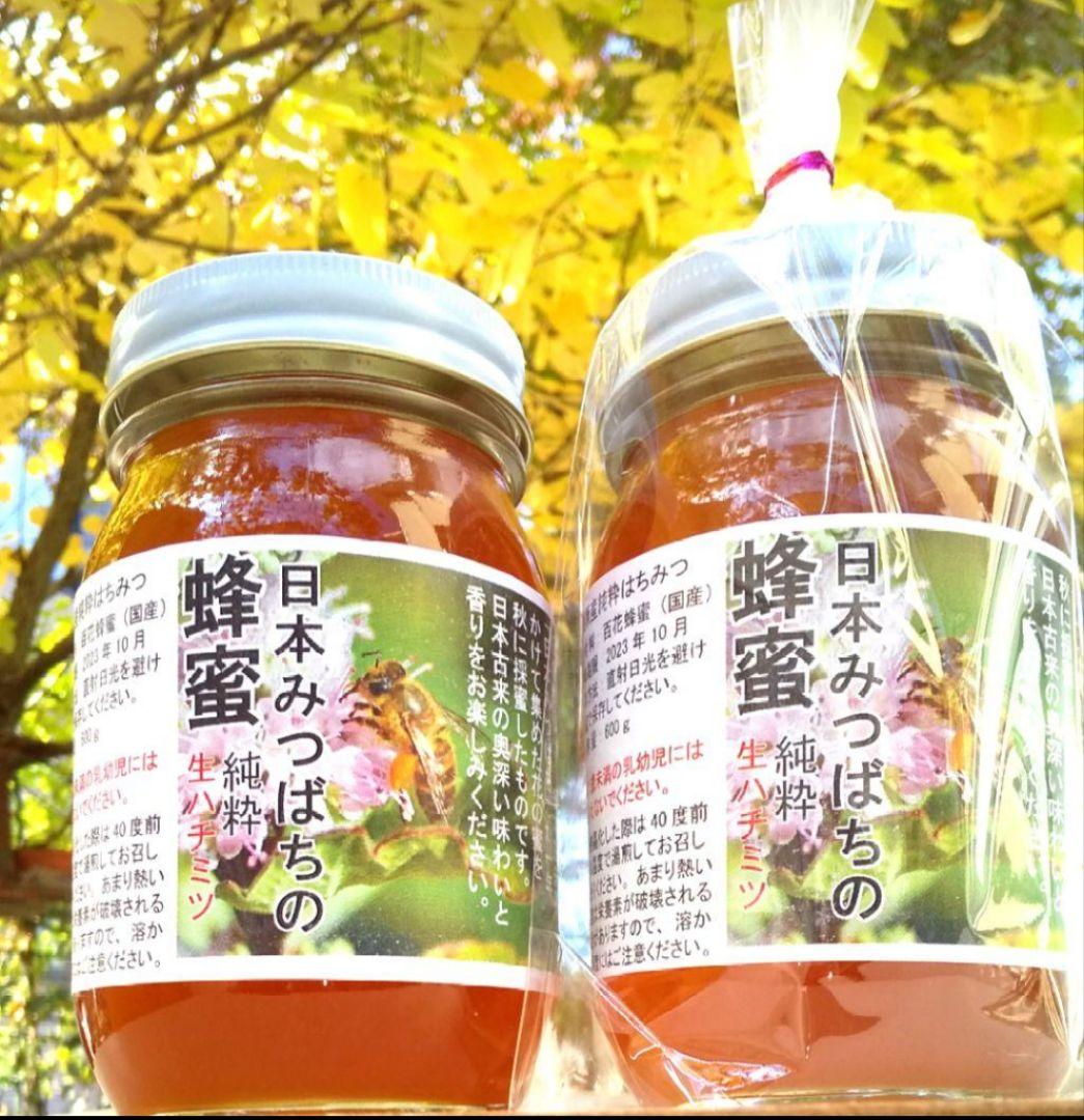 日本蜜蜂 生蜂蜜 ミツバチ 純粋 ニホンみつばち 非加熱 #8 宮城県産