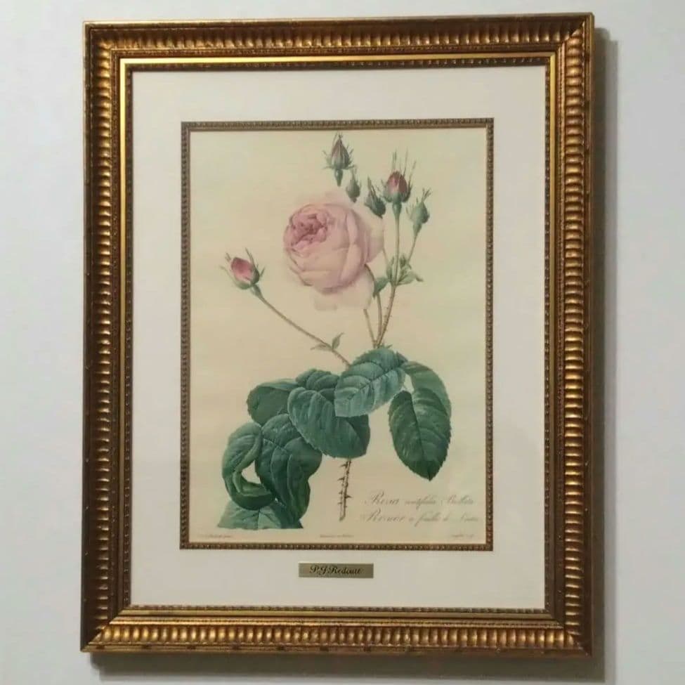 ② ルドゥーテ 絵額 レ ローズ バラ図譜 フォリオ判 ゴールドフレーム 額絵