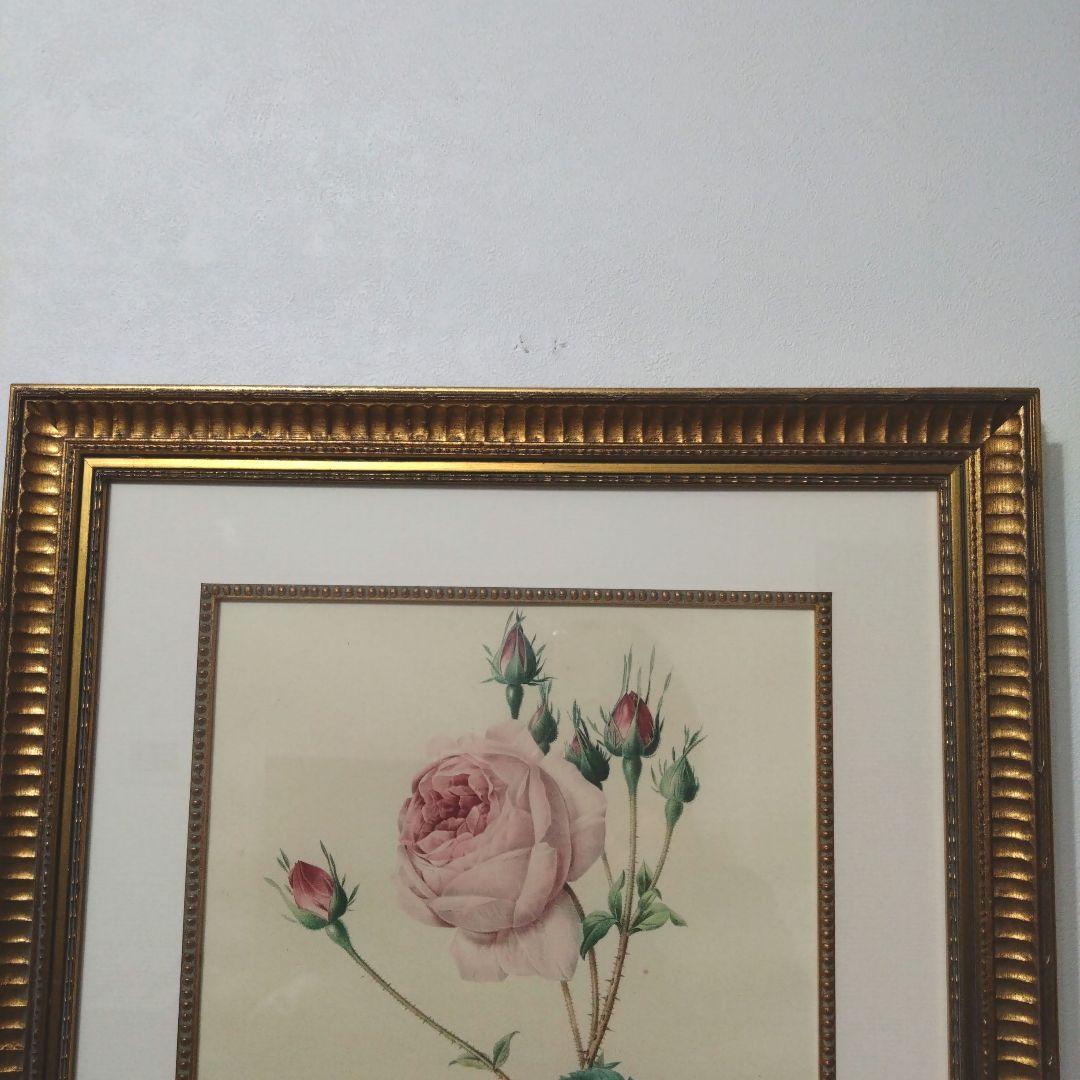② ルドゥーテ 絵額 レ ローズ バラ図譜 フォリオ判 ゴールドフレーム 額絵