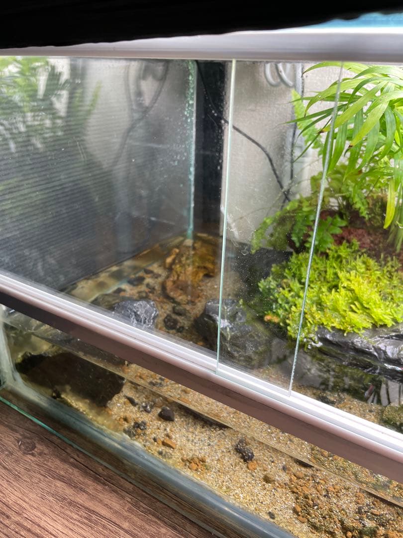 【受注生産】 アクアテラリウム　45センチ水槽