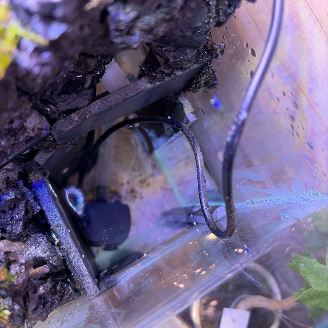 【受注生産】 アクアテラリウム　45センチ水槽