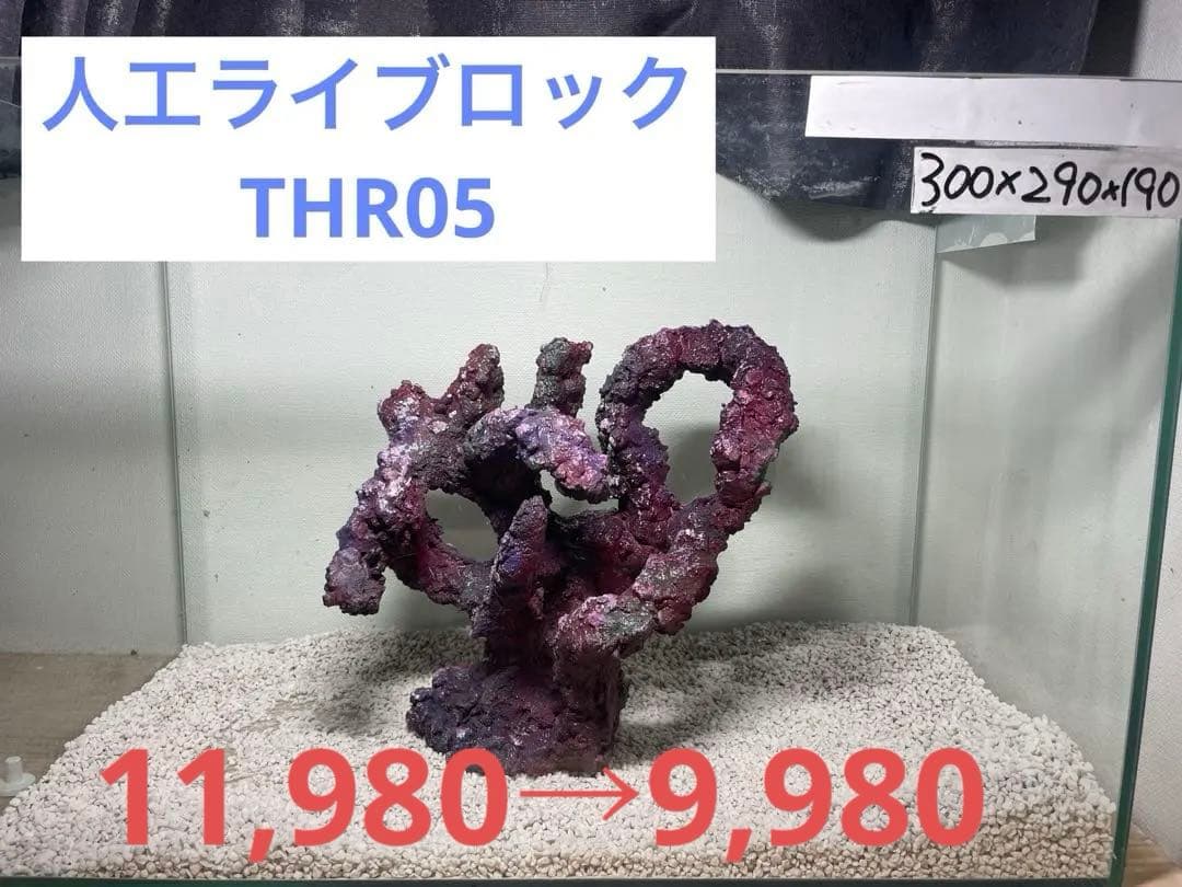 現物在庫SALE‼︎人工ライブロック　THR05 アク抜き済み安心塗料使用
